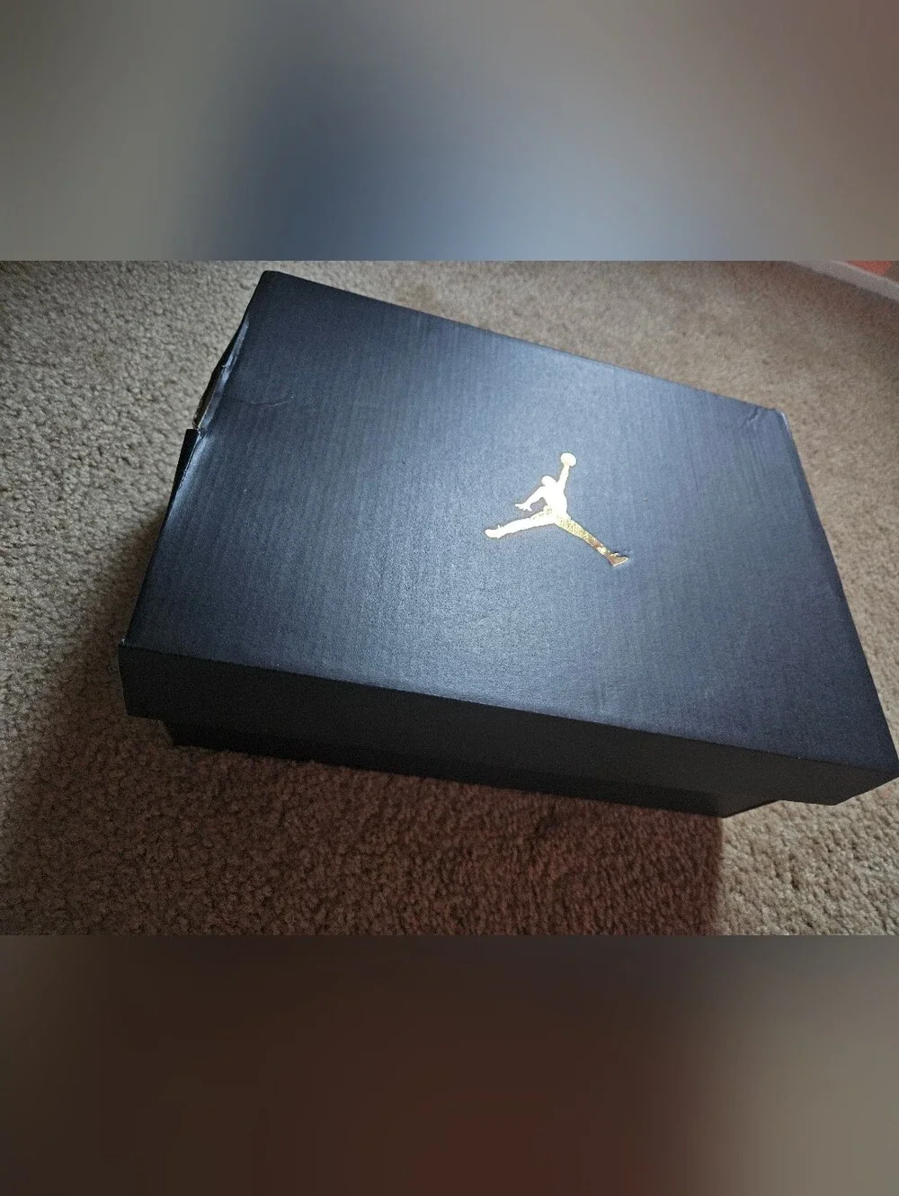 NWOT Jordan Spizike Shoes